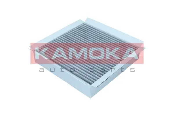 Filtre, air de l'habitacle KAMOKA F520301