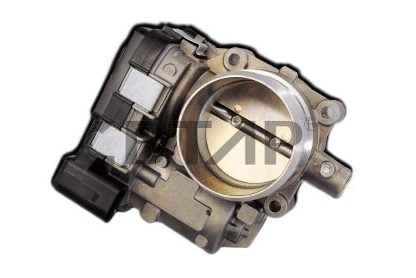 Corps papillon BTAP BVE313-565