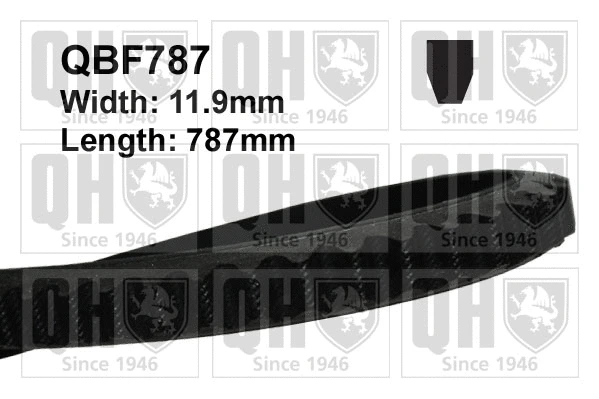 Courroie trapézoïdale QUINTON HAZELL QBF787