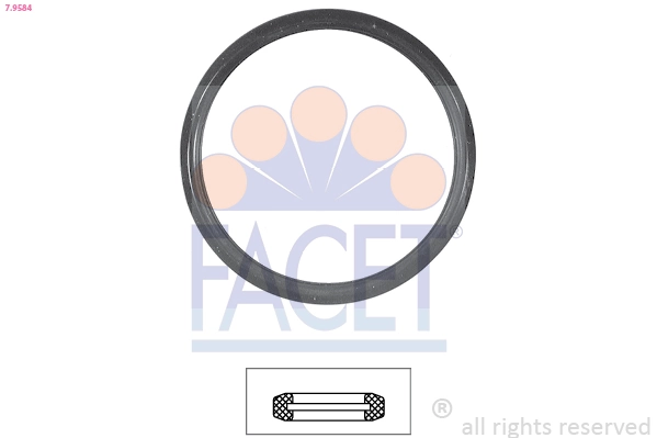 Joint, thermostat FACET 7.9584