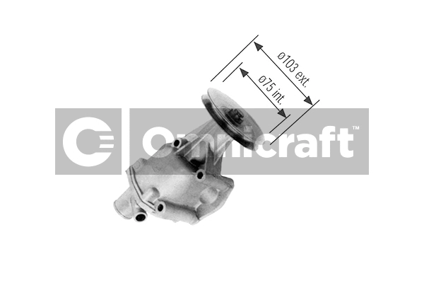 Pompe à eau, refroidissement du moteur Omnicraft 2317131