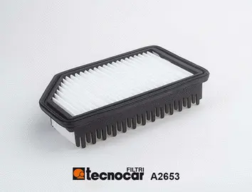 Filtre à air TECNOCAR A2653