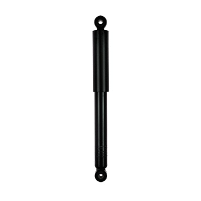 Amortisseur GOOM F220G1019
