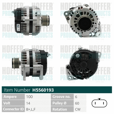 Alternateur HOFFER H5560193