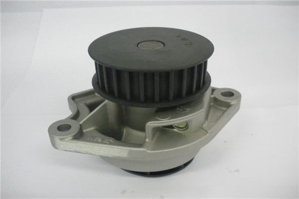 Pompe à eau, refroidissement du moteur GMB GWVW-13A