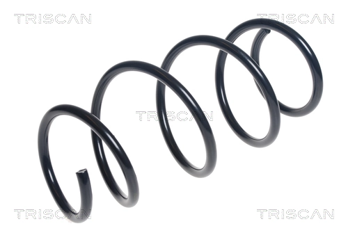 Ressort de suspension TRISCAN 8750 13213