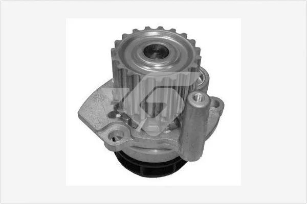 Pompe à eau, refroidissement du moteur HUTCHINSON WP0075V