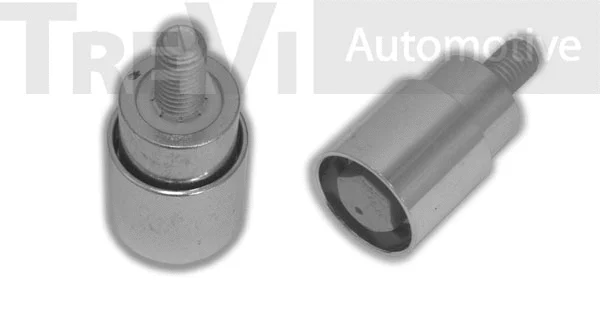 Poulie renvoi/transmission, courroie crantée TREVI AUTOMOTIVE TD1756