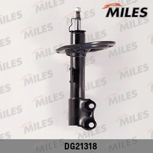Amortisseur MILES DG21318