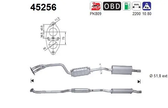 Catalyseur AS 45256