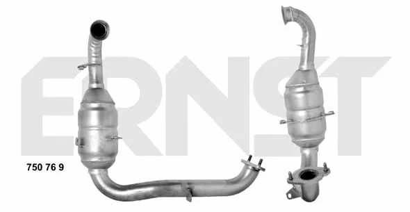 Catalyseur ERNST 750769