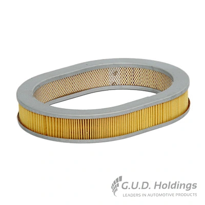Filtre à air GUD AG805