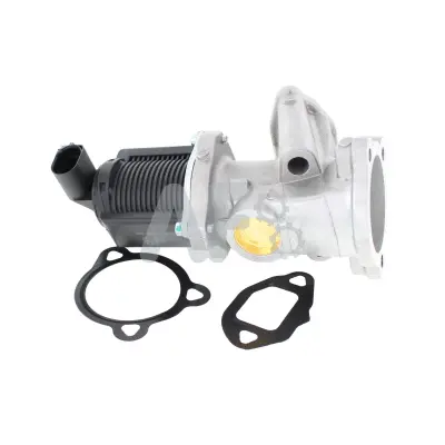 Joint, vanne EGR AUTOMOTOR France PGR4036