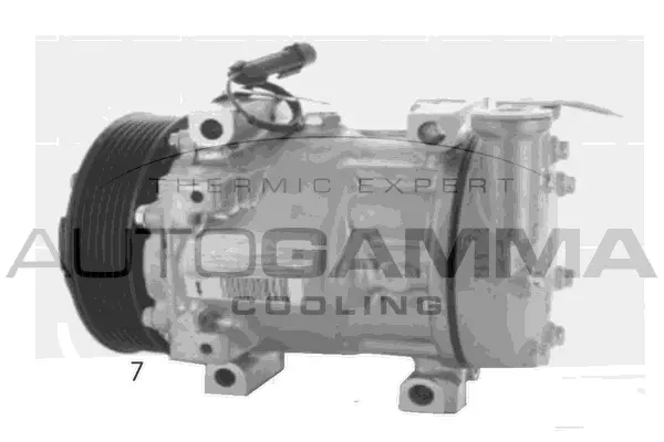 Compresseur, climatisation AUTOGAMMA 118567