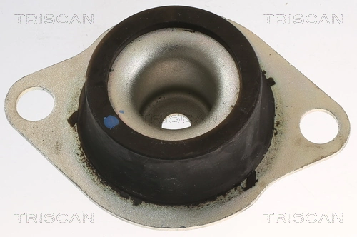 Support moteur TRISCAN 8505 25120