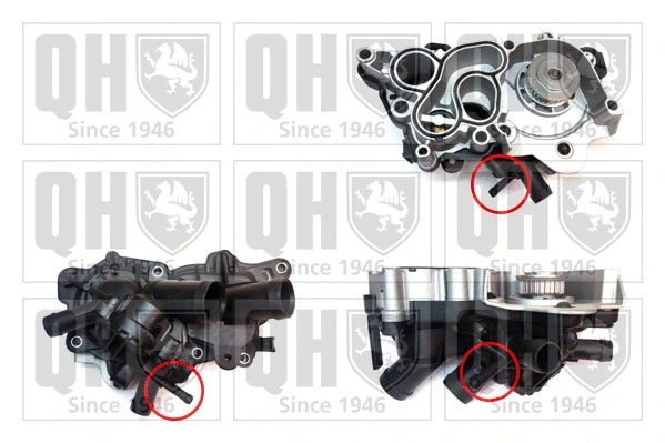 Pompe à eau, refroidissement du moteur QUINTON HAZELL QCP3863BH2