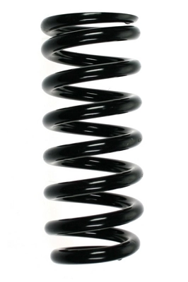 Ressort de suspension SPIDAN 55710