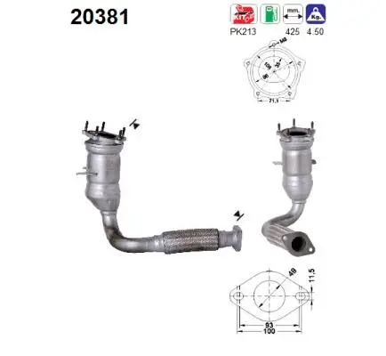 Catalyseur AS 20381