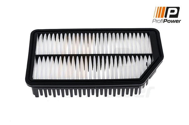 Filtre à air ProfiPower 2F0138