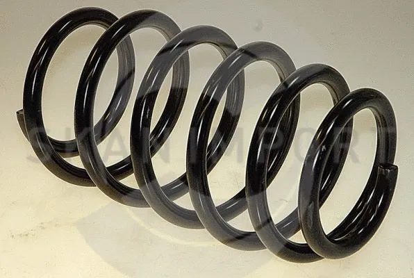 Ressort de suspension SKANIMPORT F 2351