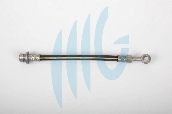 Flexible de frein RICAMBIFLEX GM 02180823