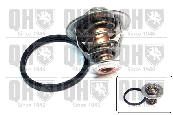 Thermostat, liquide de refroidissement QUINTON HAZELL QTH495K