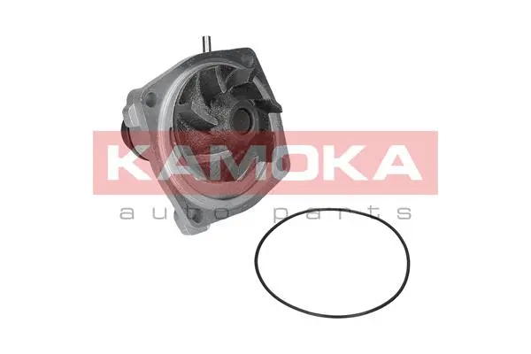 Pompe à eau, refroidissement du moteur KAMOKA T0006