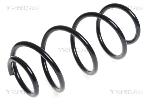 Ressort de suspension TRISCAN 8750 43105