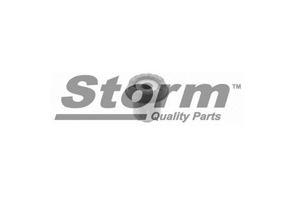 Suspension, corps de l'essieu STORM QUALITY PARTS F4078