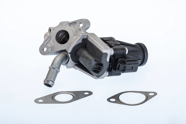 Vanne EGR BorgWarner 710979R
