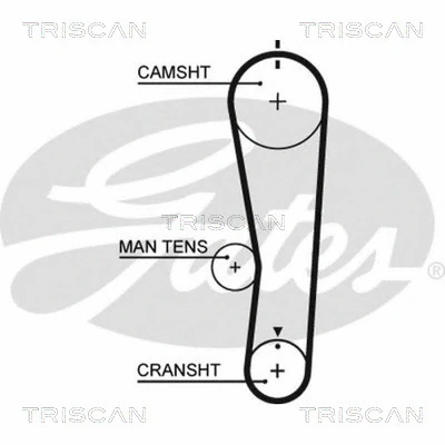 Courroie crantée TRISCAN 8645 5637XS