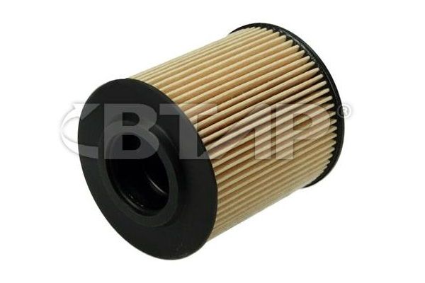Filtre à huile BTAP BVE101-015