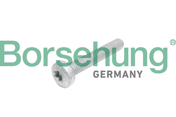 Vis de culasse Borsehung B10645