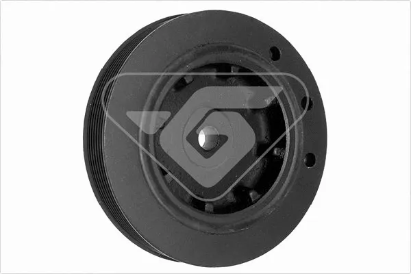 Poulie, vilebrequin HUTCHINSON DP033