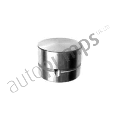 Poussoir de soupape Autopumps UK AHL144