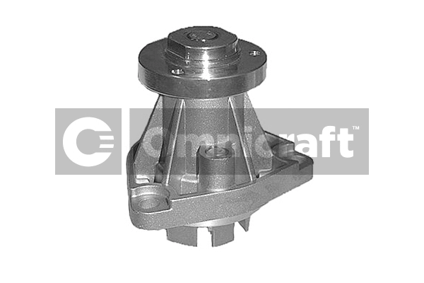 Pompe à eau, refroidissement du moteur Omnicraft 2317354
