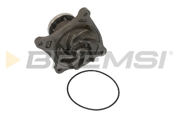 Pompe à eau, refroidissement du moteur BREMSI WP0495