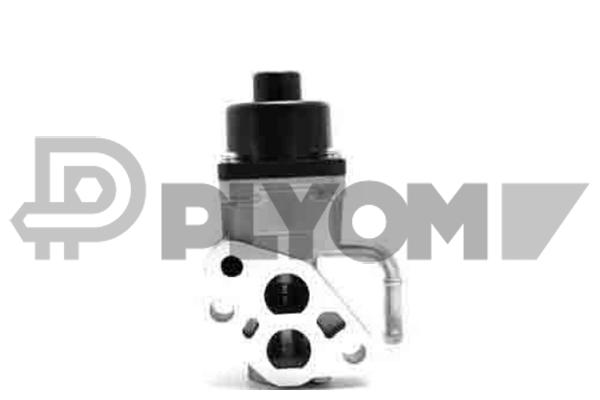 Vanne EGR PLYOM P771360