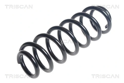 Ressort de suspension TRISCAN 8750 29451