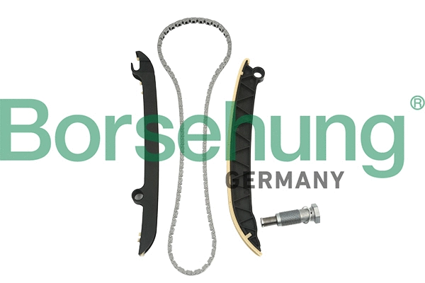 Kit de distribution par chaîne Borsehung B18843