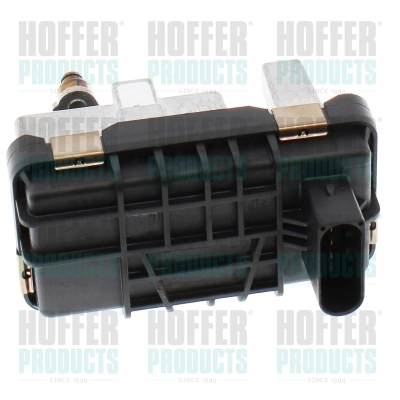 Détendeur de suralimentation HOFFER 6200032