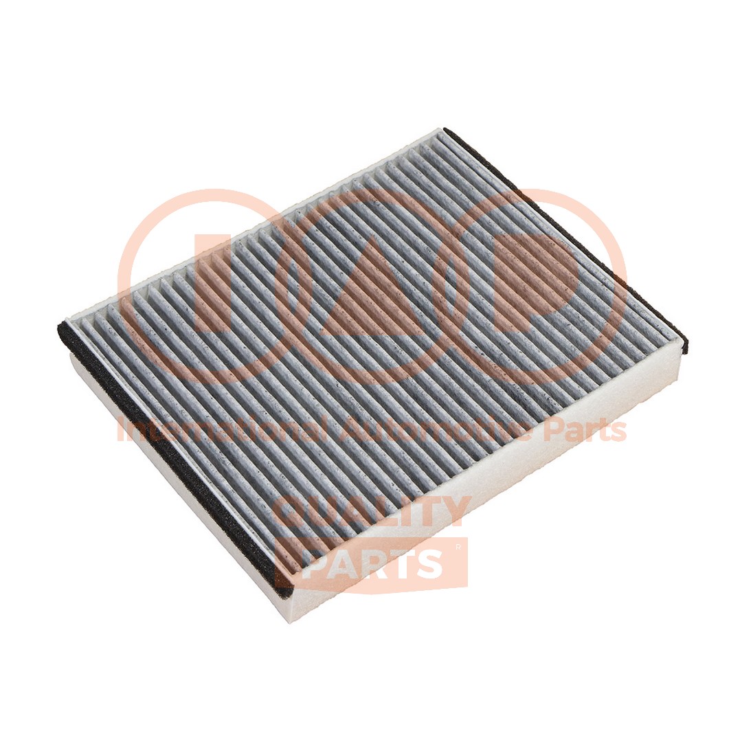 Filtre, air de l'habitacle IAP QUALITY PARTS 821-04041C