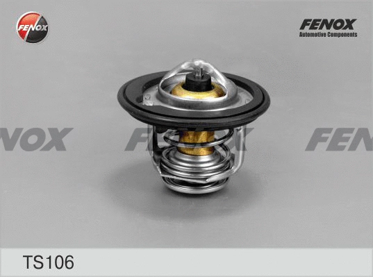 Thermostat, liquide de refroidissement FENOX TS106