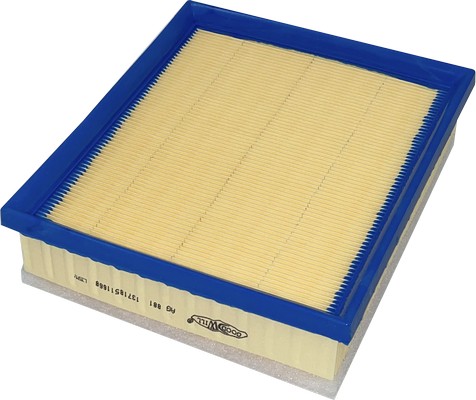 Filtre à air GOODWILL AG 881