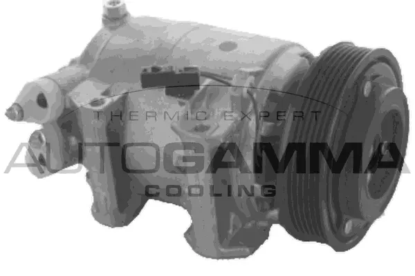 Compresseur, climatisation AUTOGAMMA 118747
