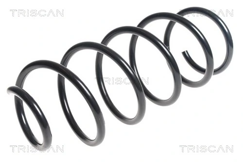 Ressort de suspension TRISCAN 8750 28213