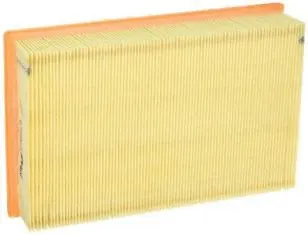 Filtre à air Fram-Au CA8919