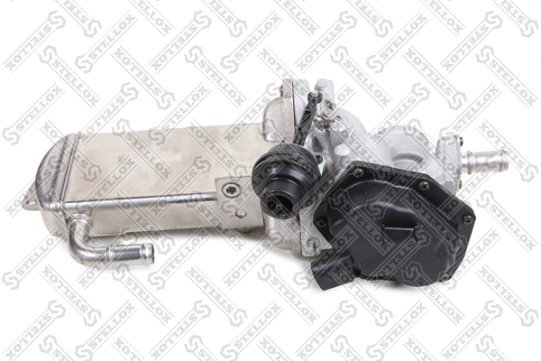 Vanne EGR STELLOX 01-25229-SX