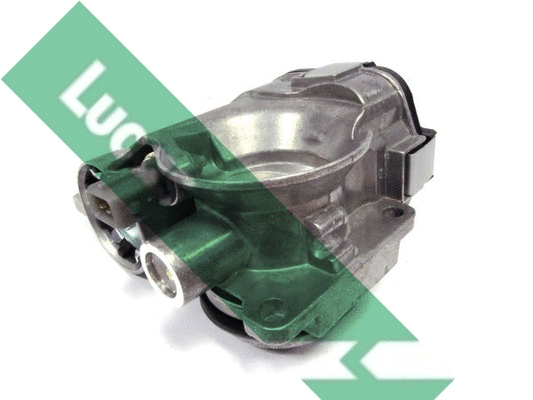 Corps papillon LUCAS LTH528